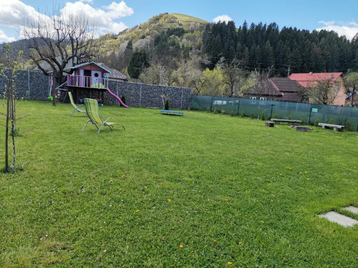 Chalet Bora Viseu de Jos Eksteriør bilde