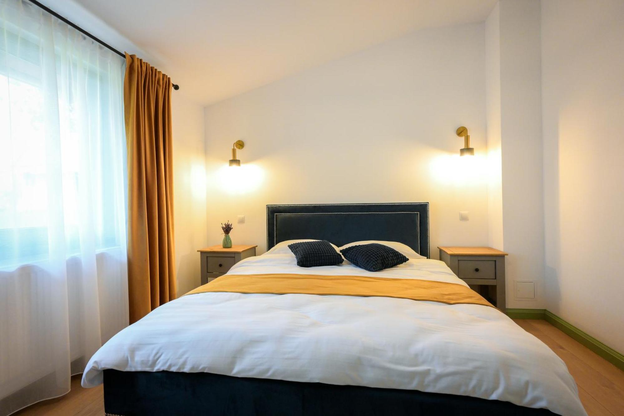 Chalet Bora Viseu de Jos Eksteriør bilde