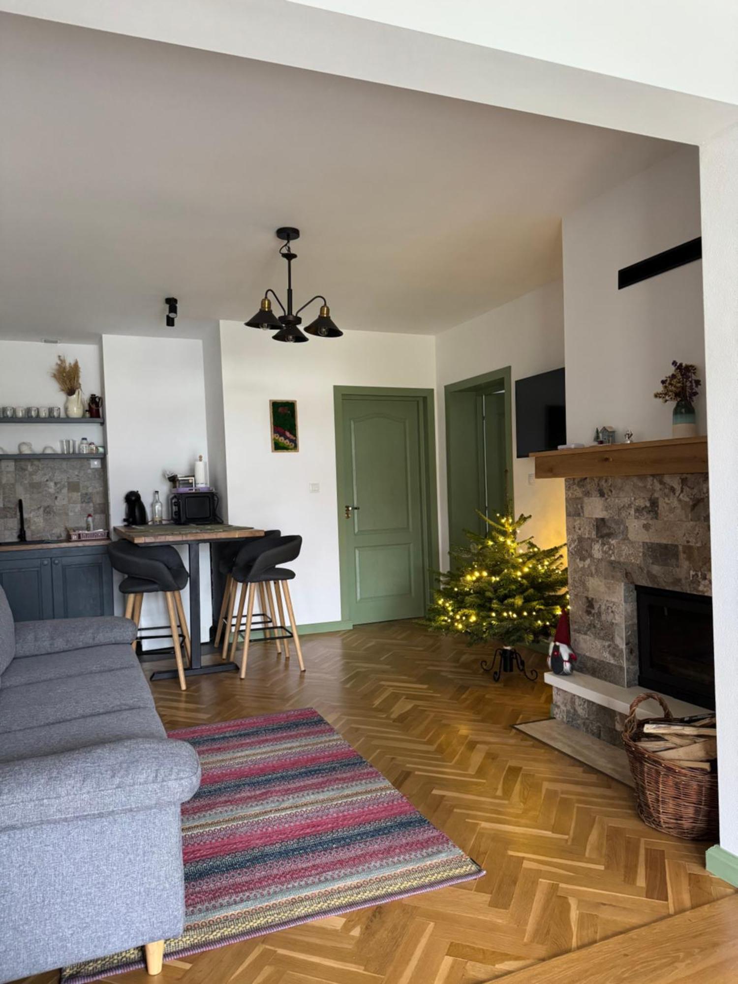 Chalet Bora Viseu de Jos Eksteriør bilde