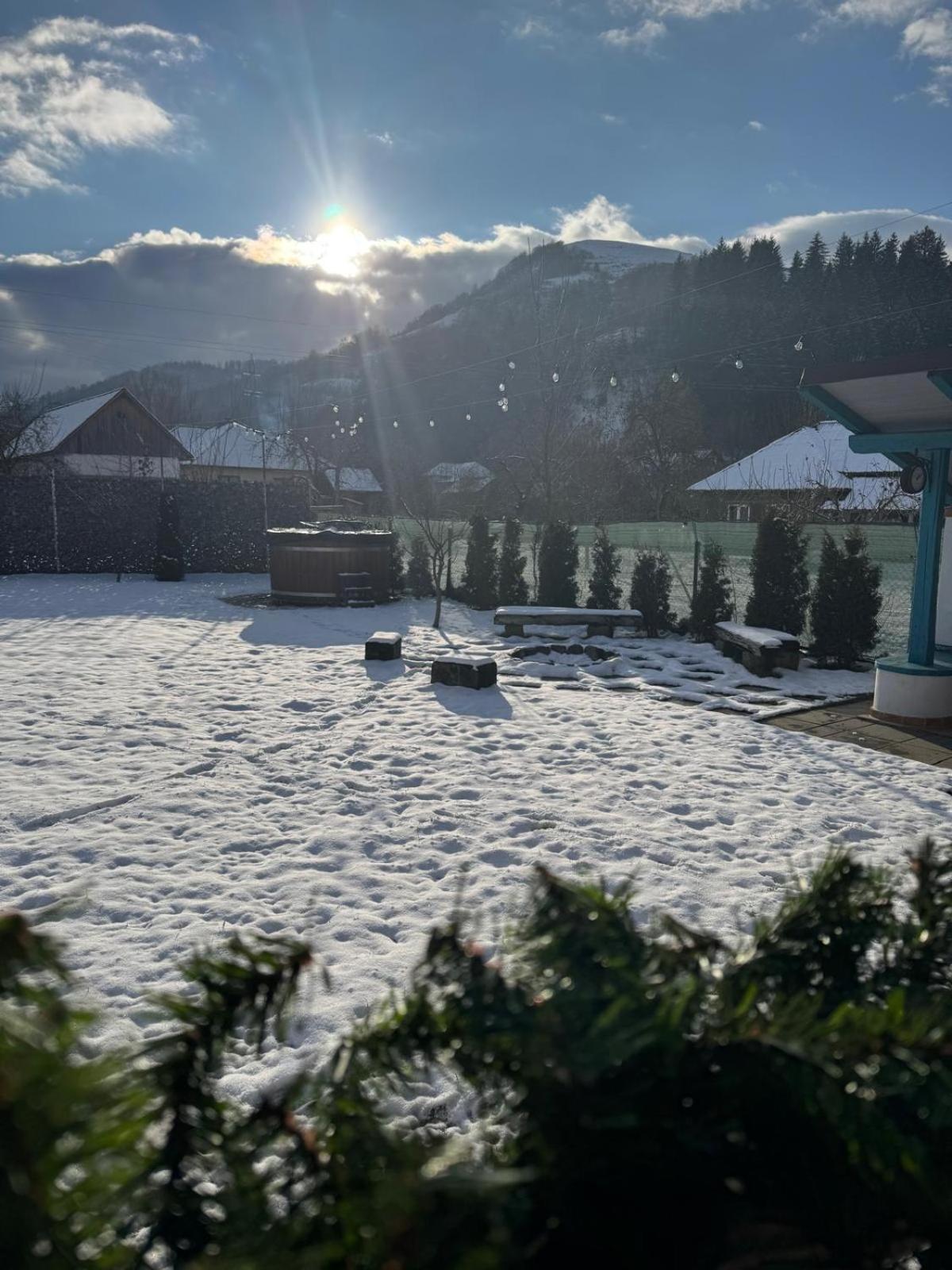 Chalet Bora Viseu de Jos Eksteriør bilde