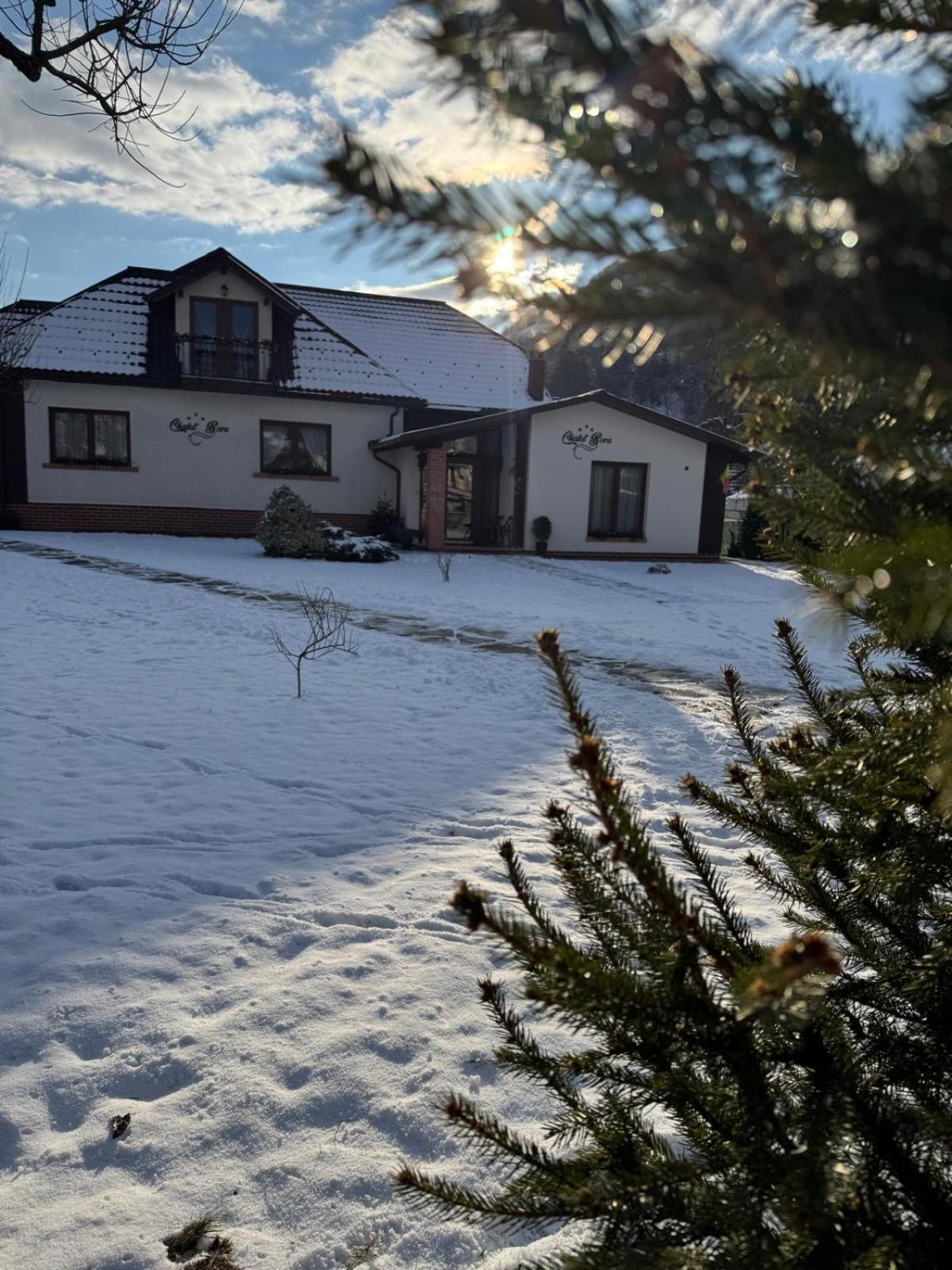 Chalet Bora Viseu de Jos Eksteriør bilde