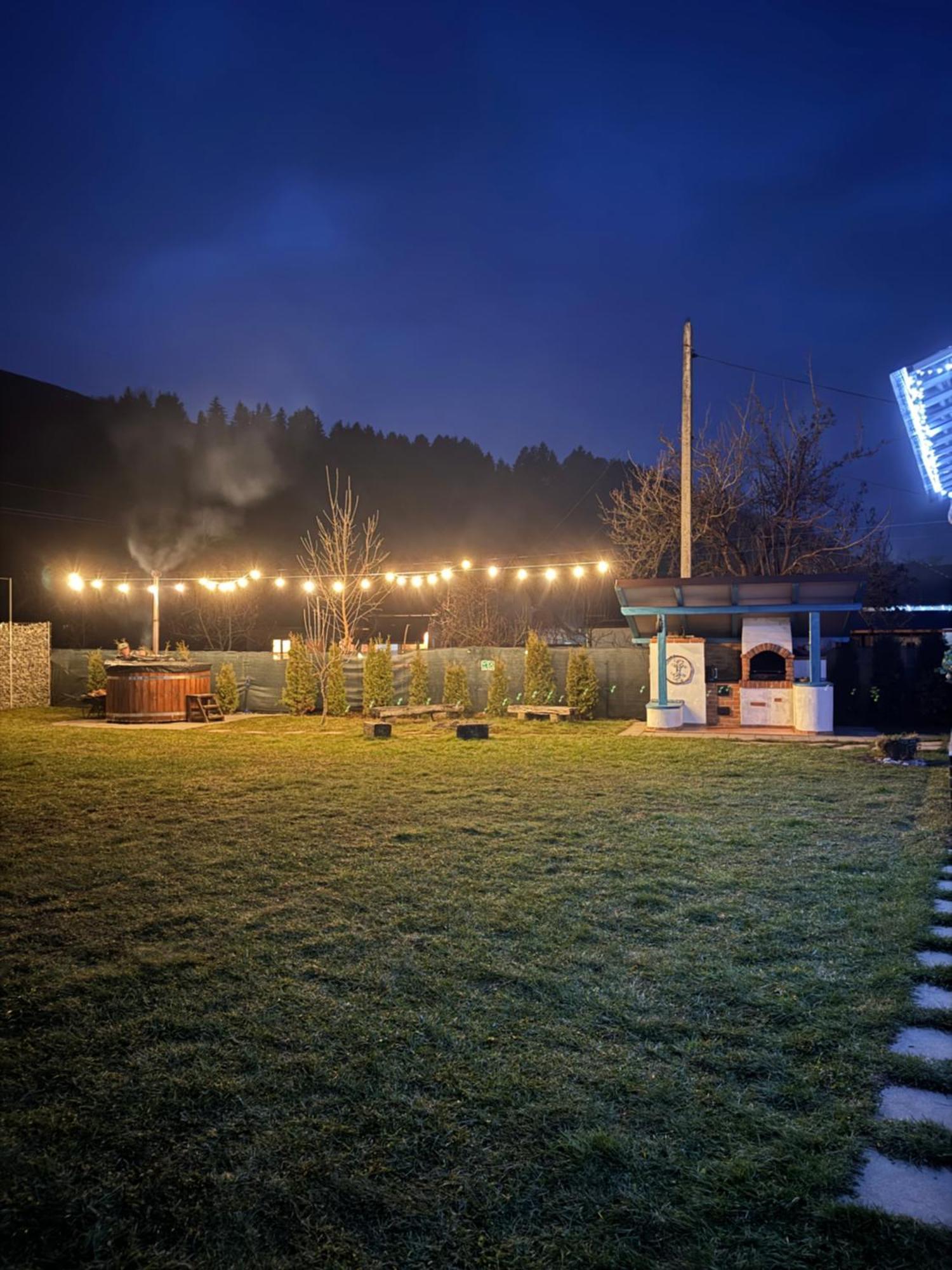 Chalet Bora Viseu de Jos Eksteriør bilde