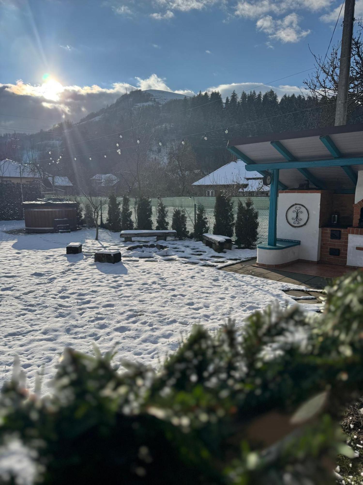 Chalet Bora Viseu de Jos Eksteriør bilde