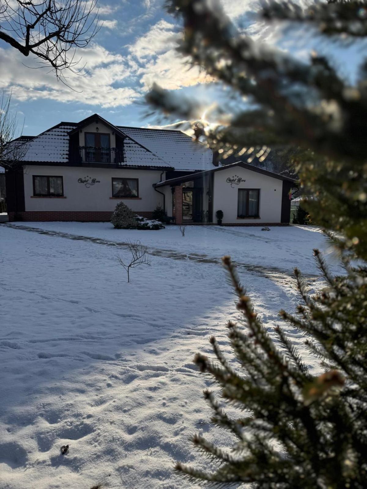 Chalet Bora Viseu de Jos Eksteriør bilde
