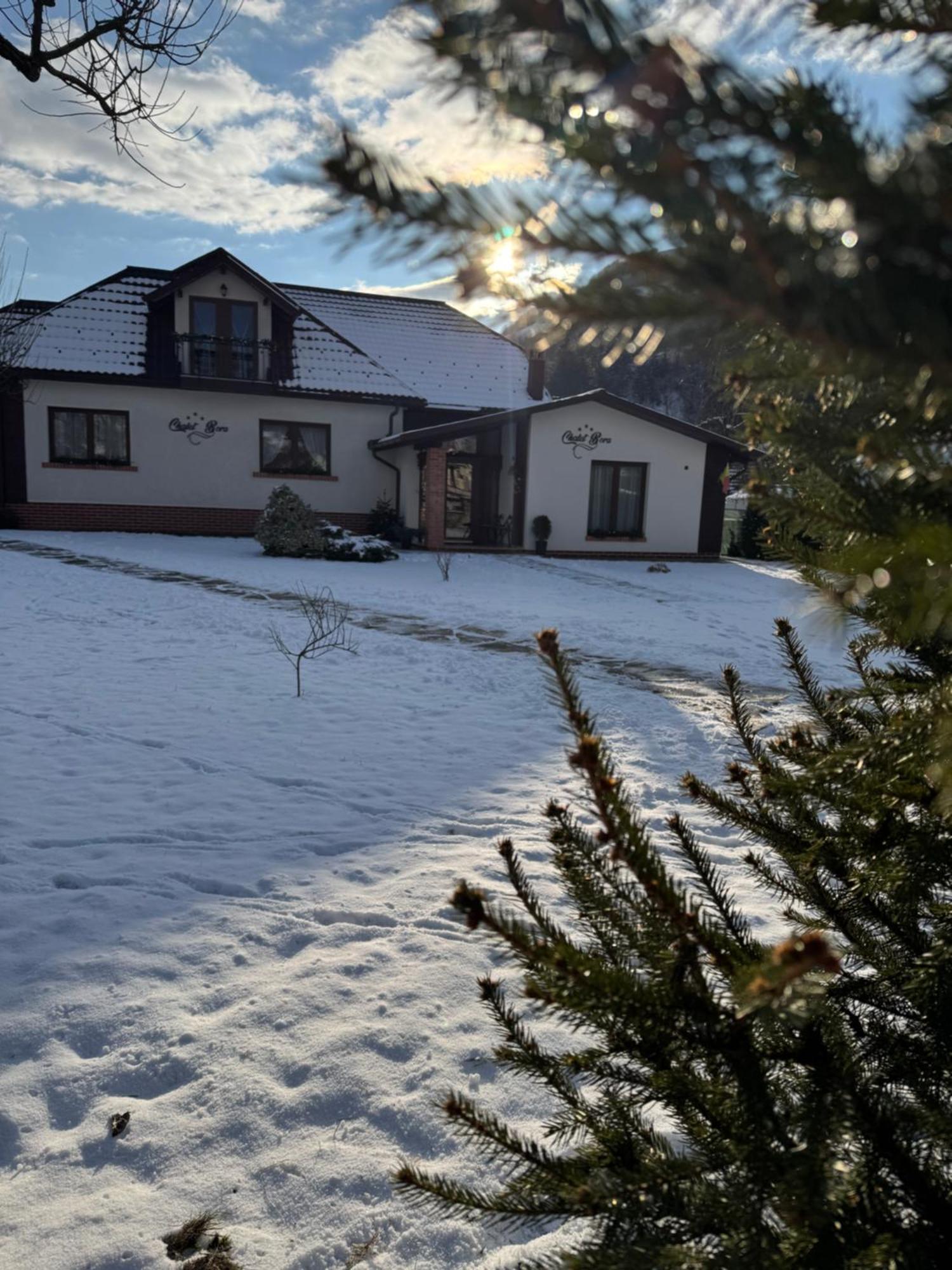 Chalet Bora Viseu de Jos Eksteriør bilde