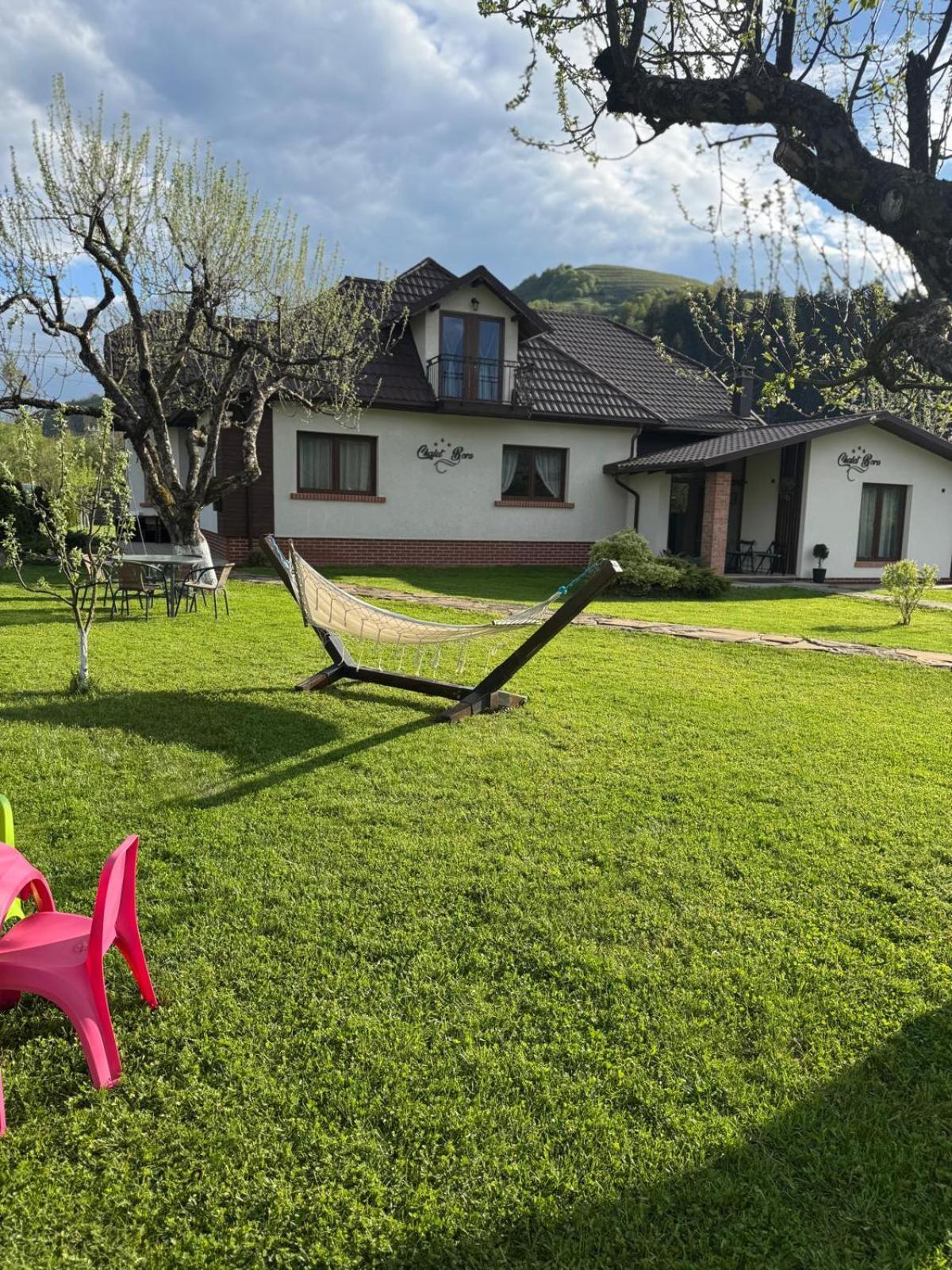 Chalet Bora Viseu de Jos Eksteriør bilde