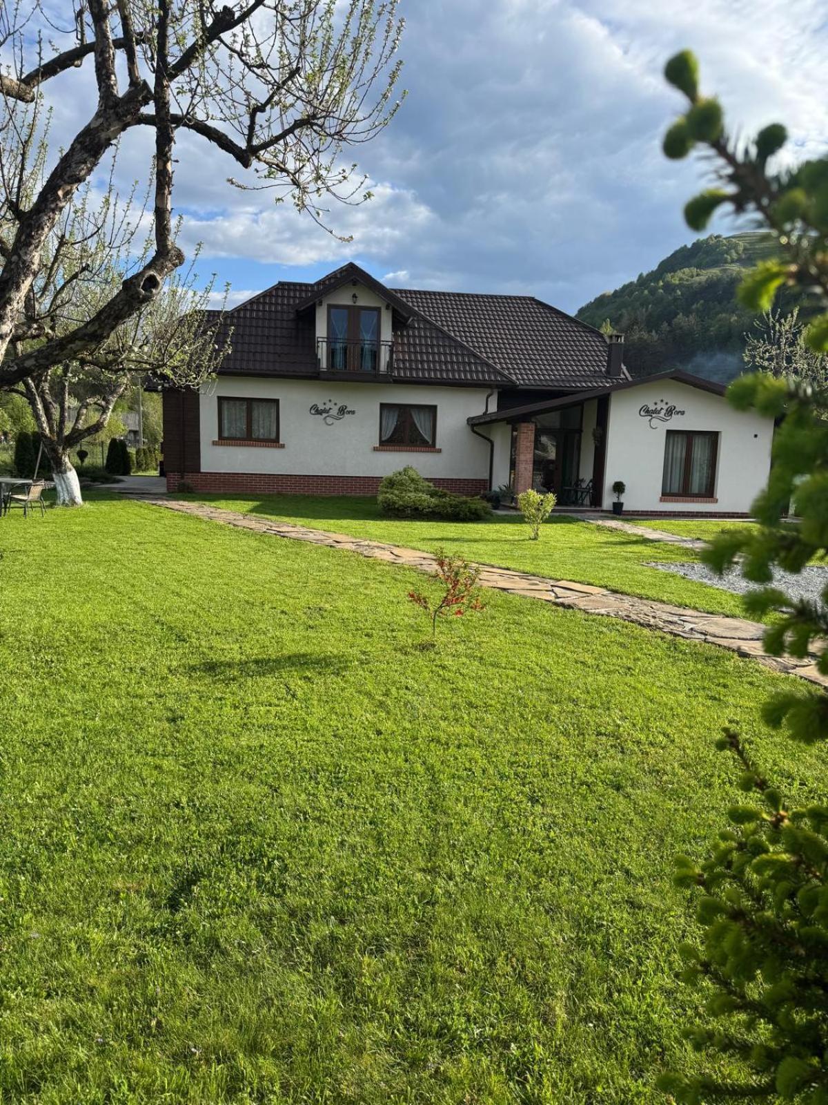 Chalet Bora Viseu de Jos Eksteriør bilde