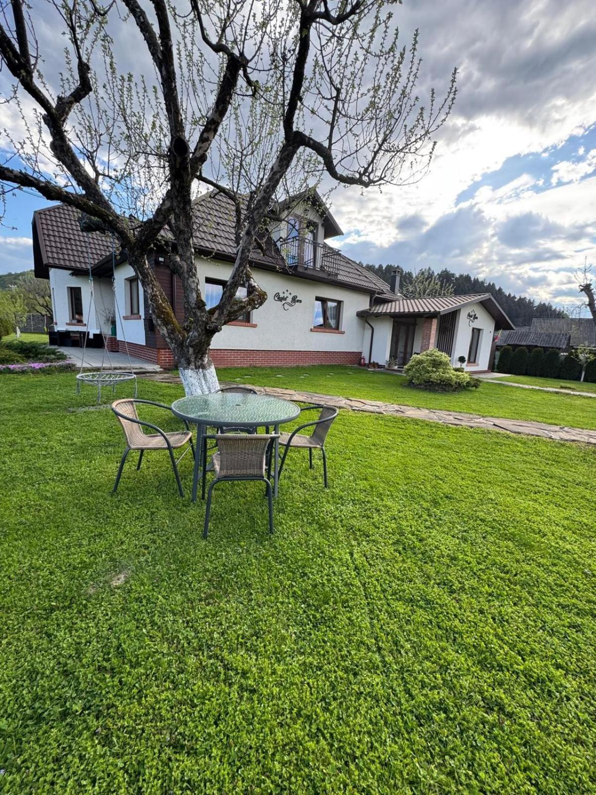 Chalet Bora Viseu de Jos Eksteriør bilde